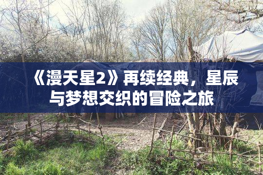《漫天星2》再续经典，星辰与梦想交织的冒险之旅