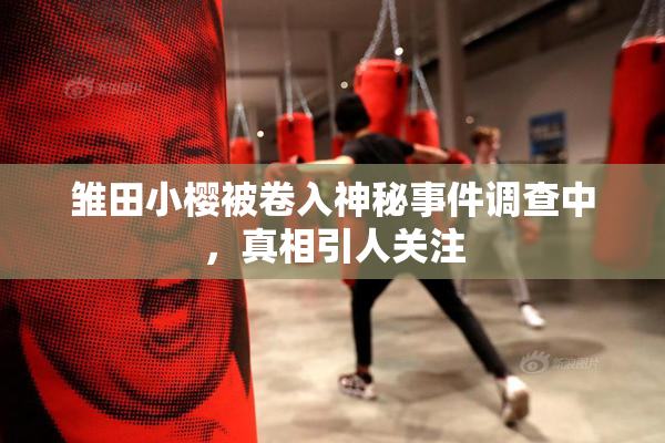 雏田小樱被卷入神秘事件调查中，真相引人关注