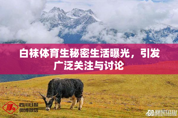 白袜体育生秘密生活曝光，引发广泛关注与讨论