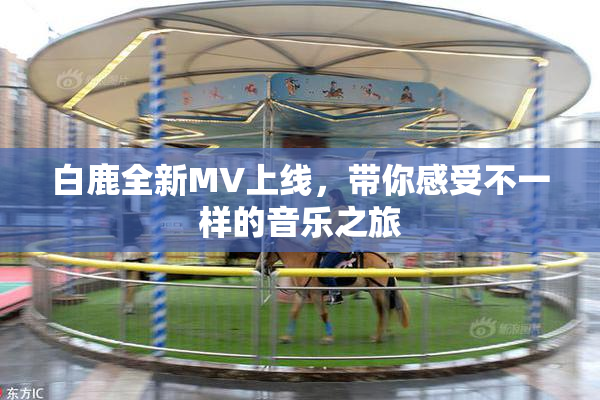 白鹿全新MV上线，带你感受不一样的音乐之旅