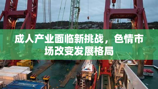成人产业面临新挑战，色情市场改变发展格局