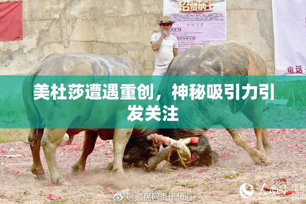 美杜莎遭遇重创，神秘吸引力引发关注