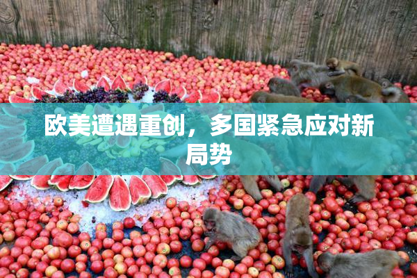 欧美遭遇重创，多国紧急应对新局势