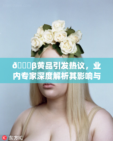 🔞β黄品引发热议，业内专家深度解析其影响与未来发展