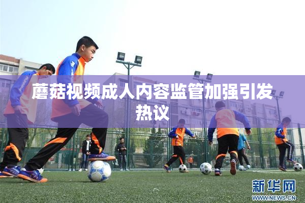 蘑菇视频成人内容监管加强引发热议