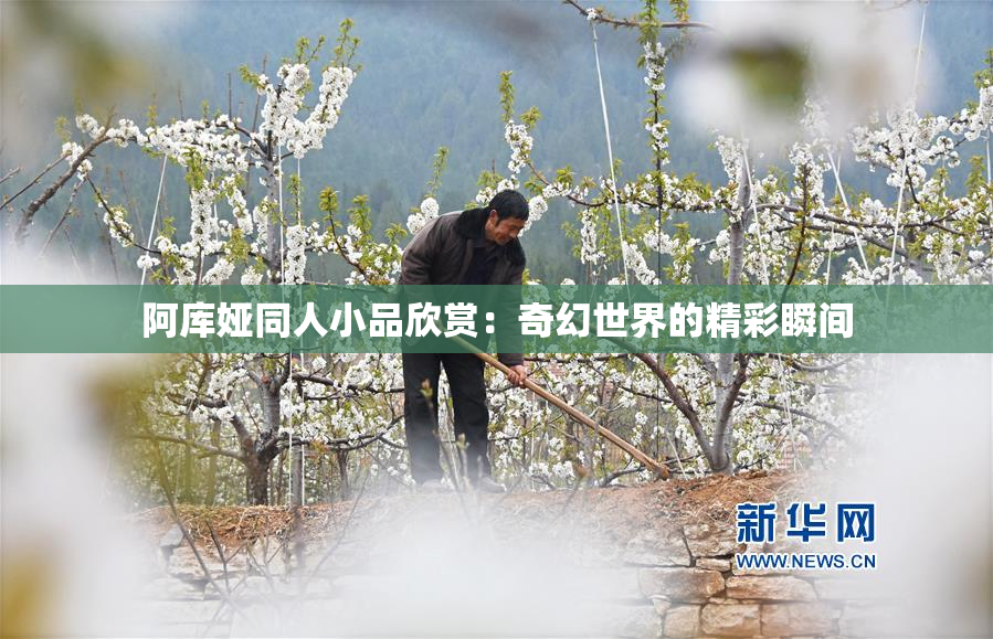 阿库娅同人小品欣赏：奇幻世界的精彩瞬间