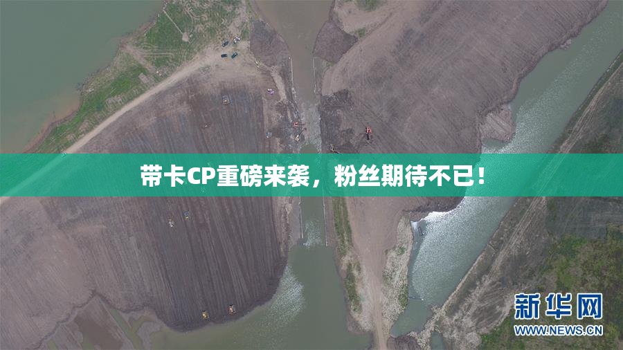 带卡CP重磅来袭，粉丝期待不已！