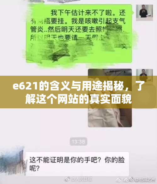 e621的含义与用途揭秘，了解这个网站的真实面貌