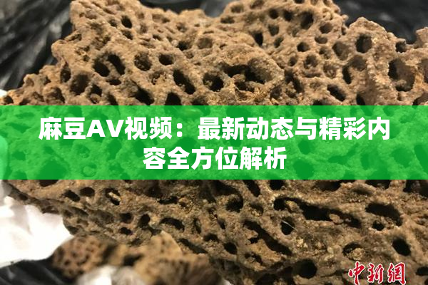 麻豆AV视频：最新动态与精彩内容全方位解析