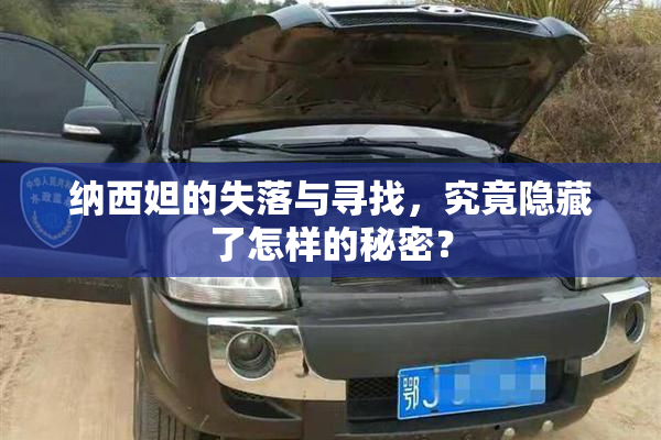 纳西妲的失落与寻找，究竟隐藏了怎样的秘密？