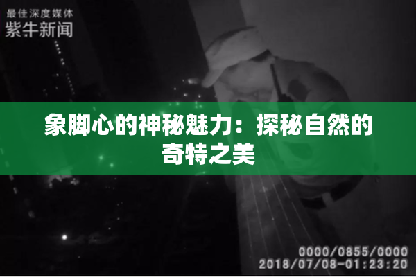 象脚心的神秘魅力：探秘自然的奇特之美