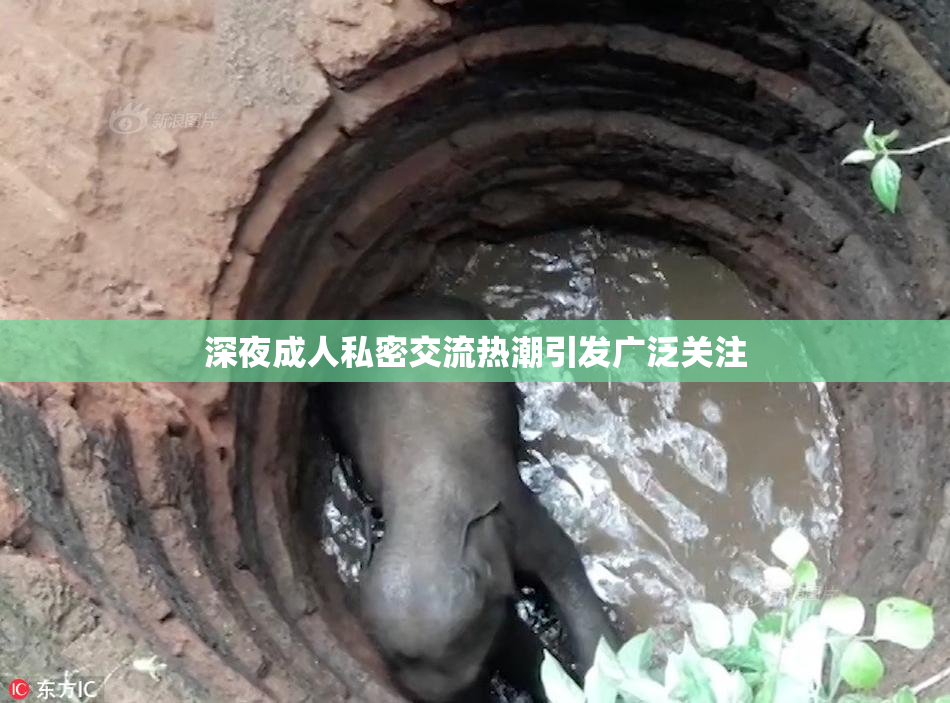 深夜成人私密交流热潮引发广泛关注