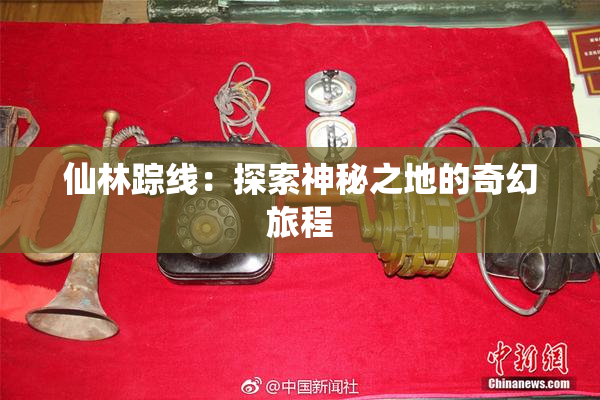 仙林踪线：探索神秘之地的奇幻旅程