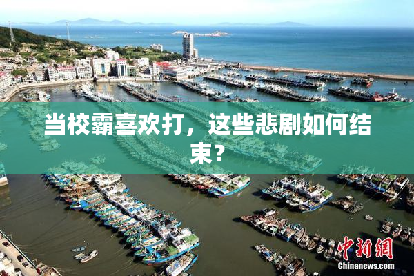当校霸喜欢打，这些悲剧如何结束？