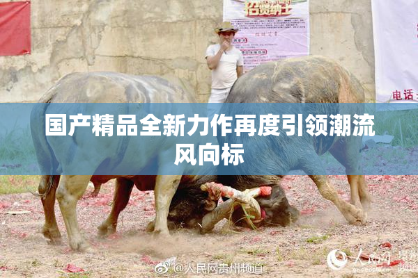 国产精品全新力作再度引领潮流风向标