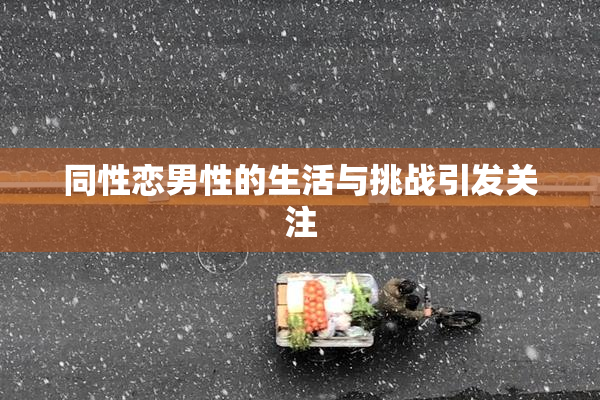 同性恋男性的生活与挑战引发关注