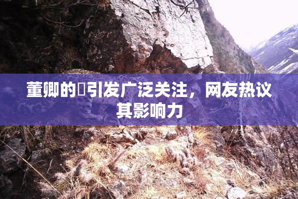 董卿的婬引发广泛关注，网友热议其影响力