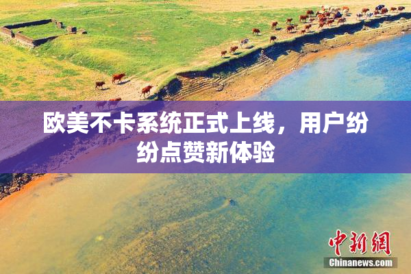 欧美不卡系统正式上线，用户纷纷点赞新体验
