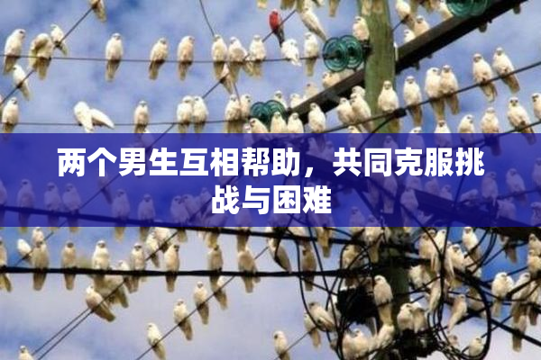 两个男生互相帮助，共同克服挑战与困难