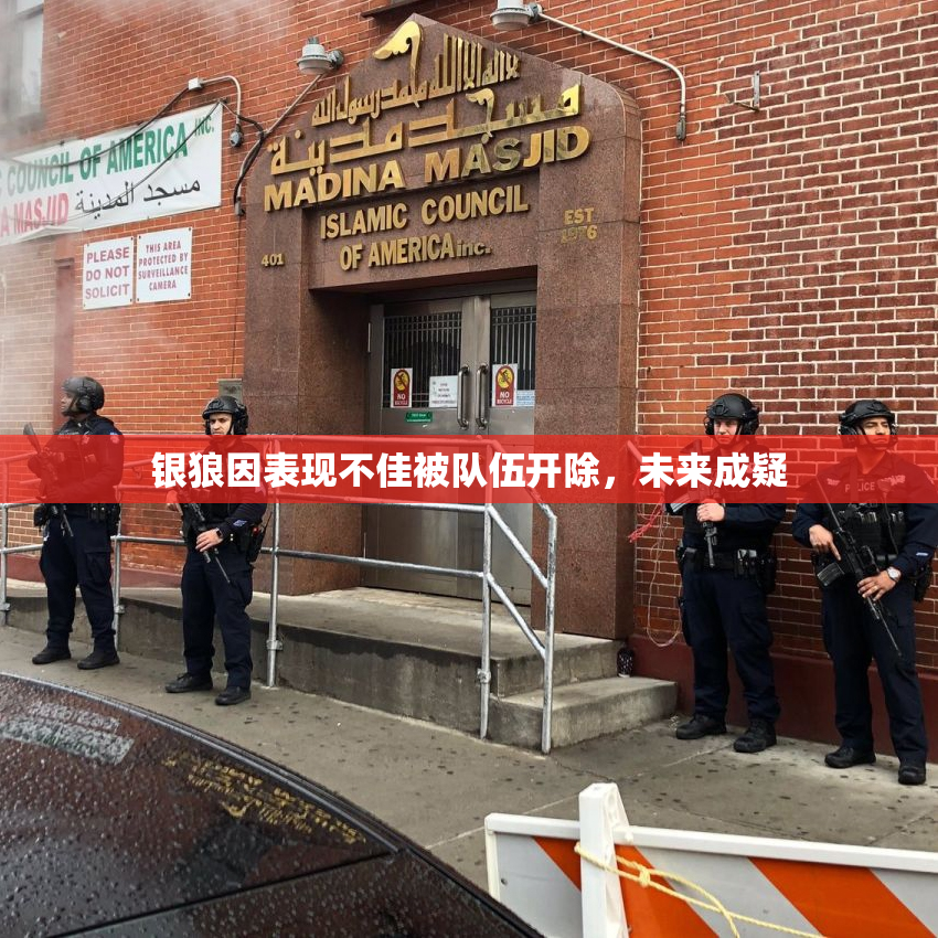 银狼因表现不佳被队伍开除，未来成疑