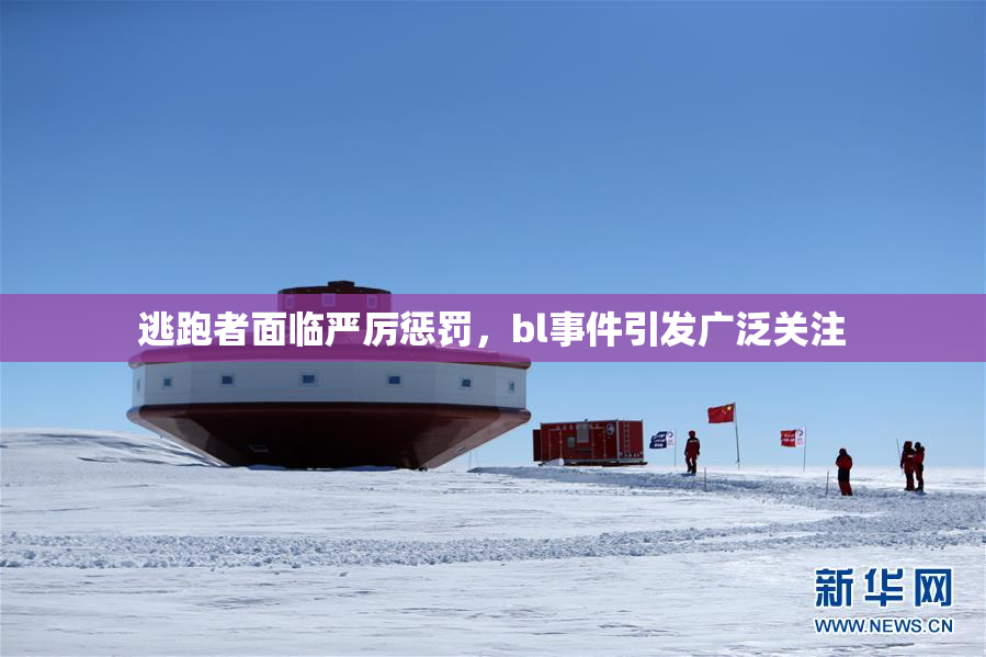 逃跑者面临严厉惩罚，bl事件引发广泛关注