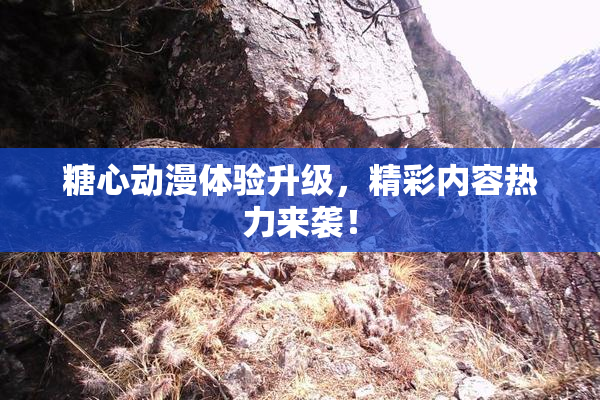 糖心动漫体验升级，精彩内容热力来袭！