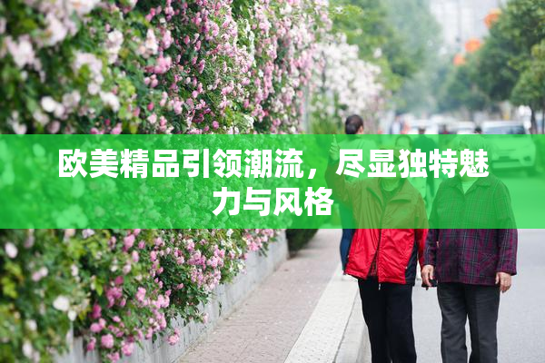 欧美精品引领潮流，尽显独特魅力与风格