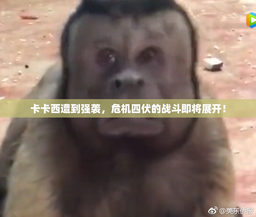 卡卡西遭到强袭，危机四伏的战斗即将展开！