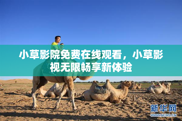 小草影院免费在线观看，小草影视无限畅享新体验
