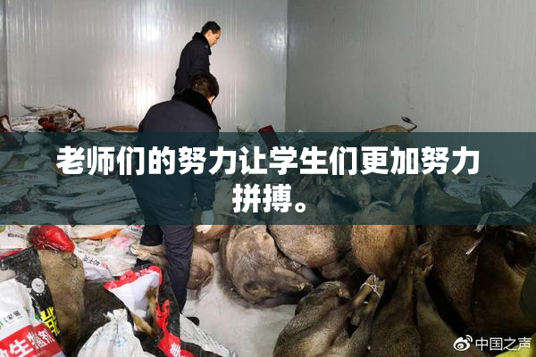 老师们的努力让学生们更加努力拼搏。