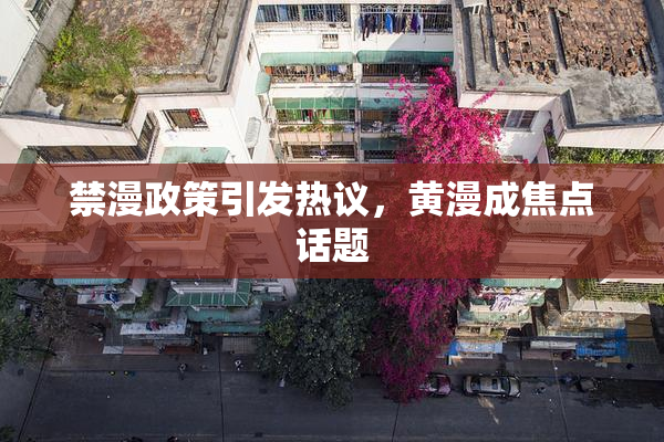 禁漫政策引发热议，黄漫成焦点话题
