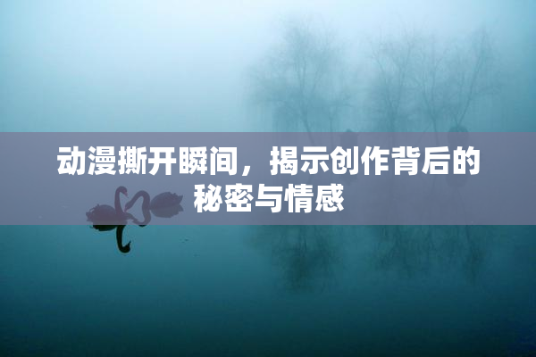 动漫撕开瞬间，揭示创作背后的秘密与情感