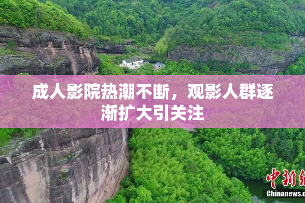 成人影院热潮不断，观影人群逐渐扩大引关注