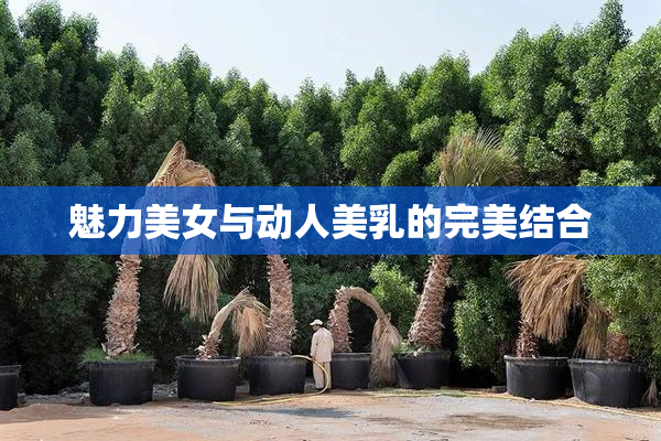 魅力美女与动人美乳的完美结合