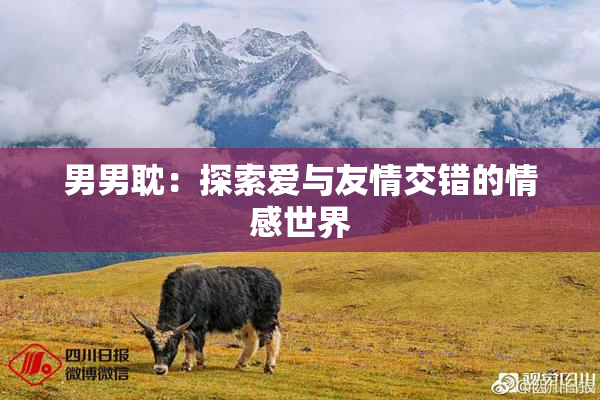 男男耽：探索爱与友情交错的情感世界