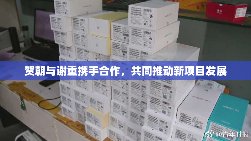 贺朝与谢重携手合作，共同推动新项目发展