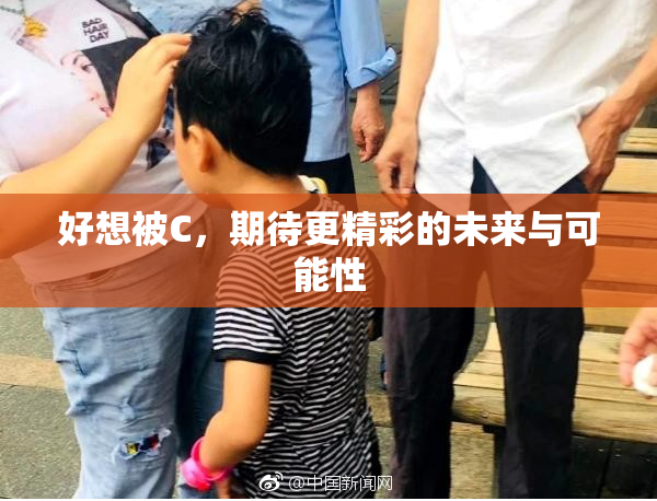 好想被C，期待更精彩的未来与可能性