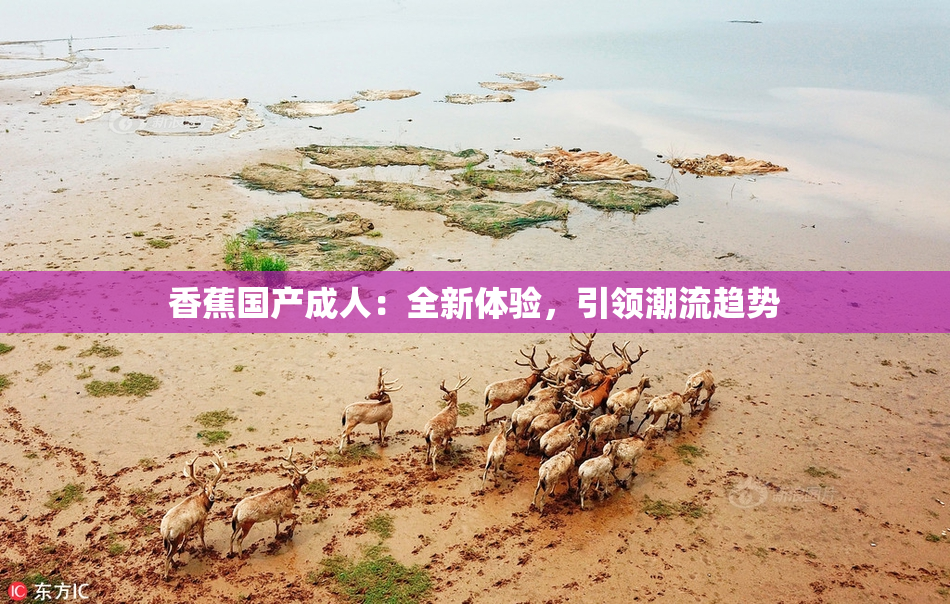 香蕉国产成人：全新体验，引领潮流趋势