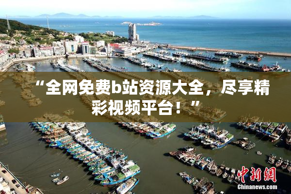 “全网免费b站资源大全，尽享精彩视频平台！”