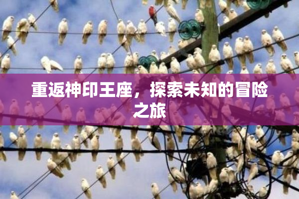 重返神印王座，探索未知的冒险之旅