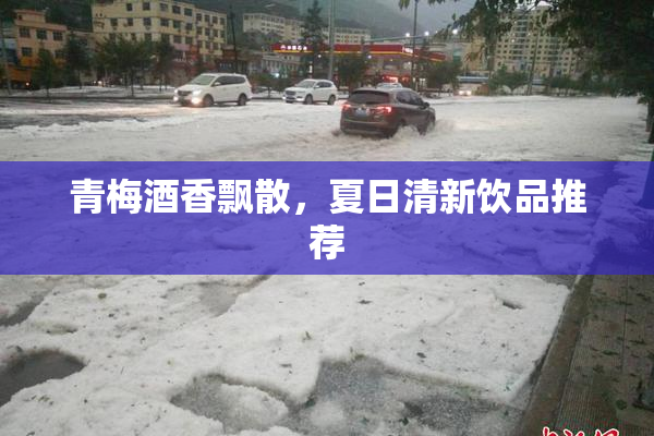 青梅酒香飘散，夏日清新饮品推荐