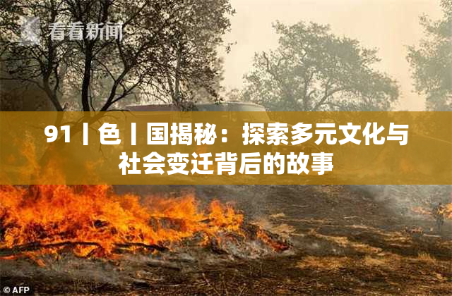 91丨色丨国揭秘：探索多元文化与社会变迁背后的故事