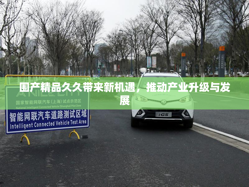 围产精品久久带来新机遇，推动产业升级与发展