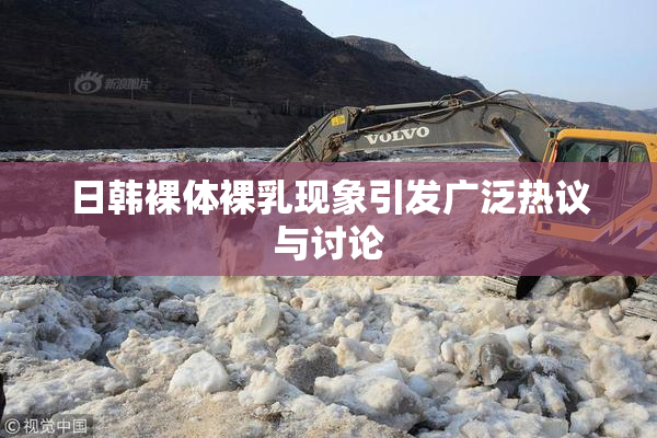 日韩裸体裸乳现象引发广泛热议与讨论