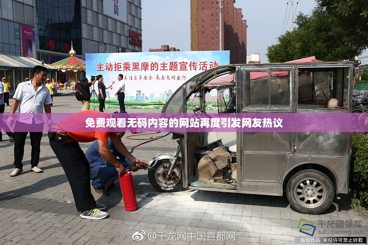 免费观看无码内容的网站再度引发网友热议