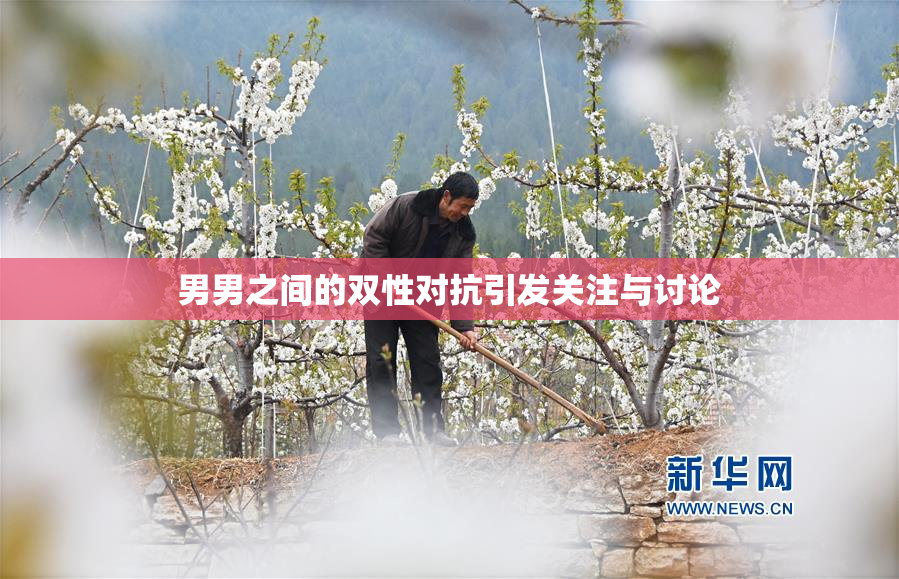男男之间的双性对抗引发关注与讨论