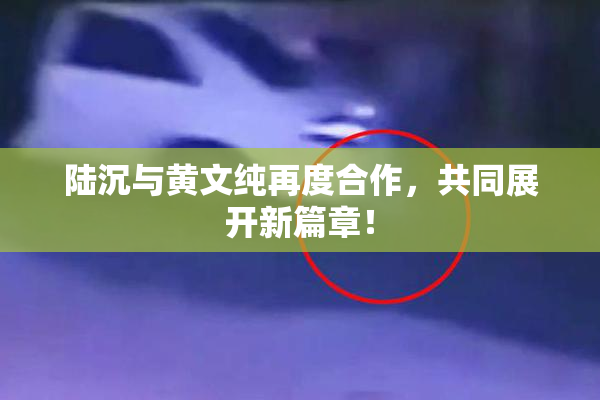 陆沉与黄文纯再度合作，共同展开新篇章！