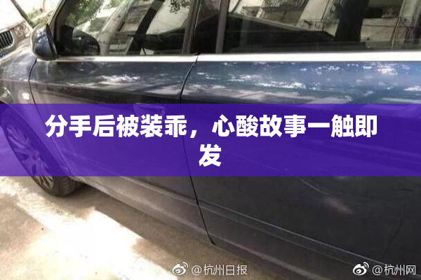 分手后被装乖，心酸故事一触即发
