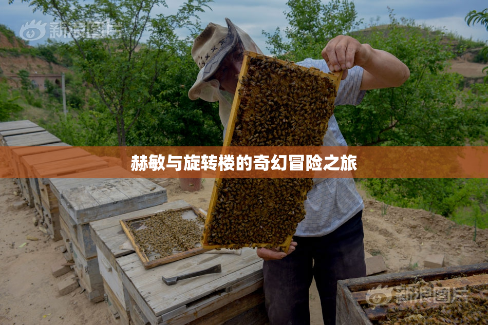 赫敏与旋转楼的奇幻冒险之旅