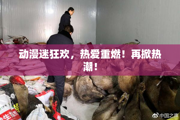 动漫迷狂欢，热爱重燃！再掀热潮！